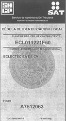 <em>Cedula de Indentificación Fiscal</em>